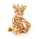 Bashful Giraffe - Jellycat plush toy