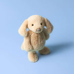 Bashful Luxe Puppy Orlando Big