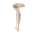 Blossom Bunny Comforter - Jellycat plush toy, view 2