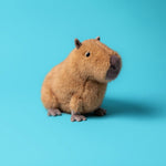 Clyde Capybara - Jellycat plush toy, view 2