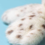 Galumphous Seal