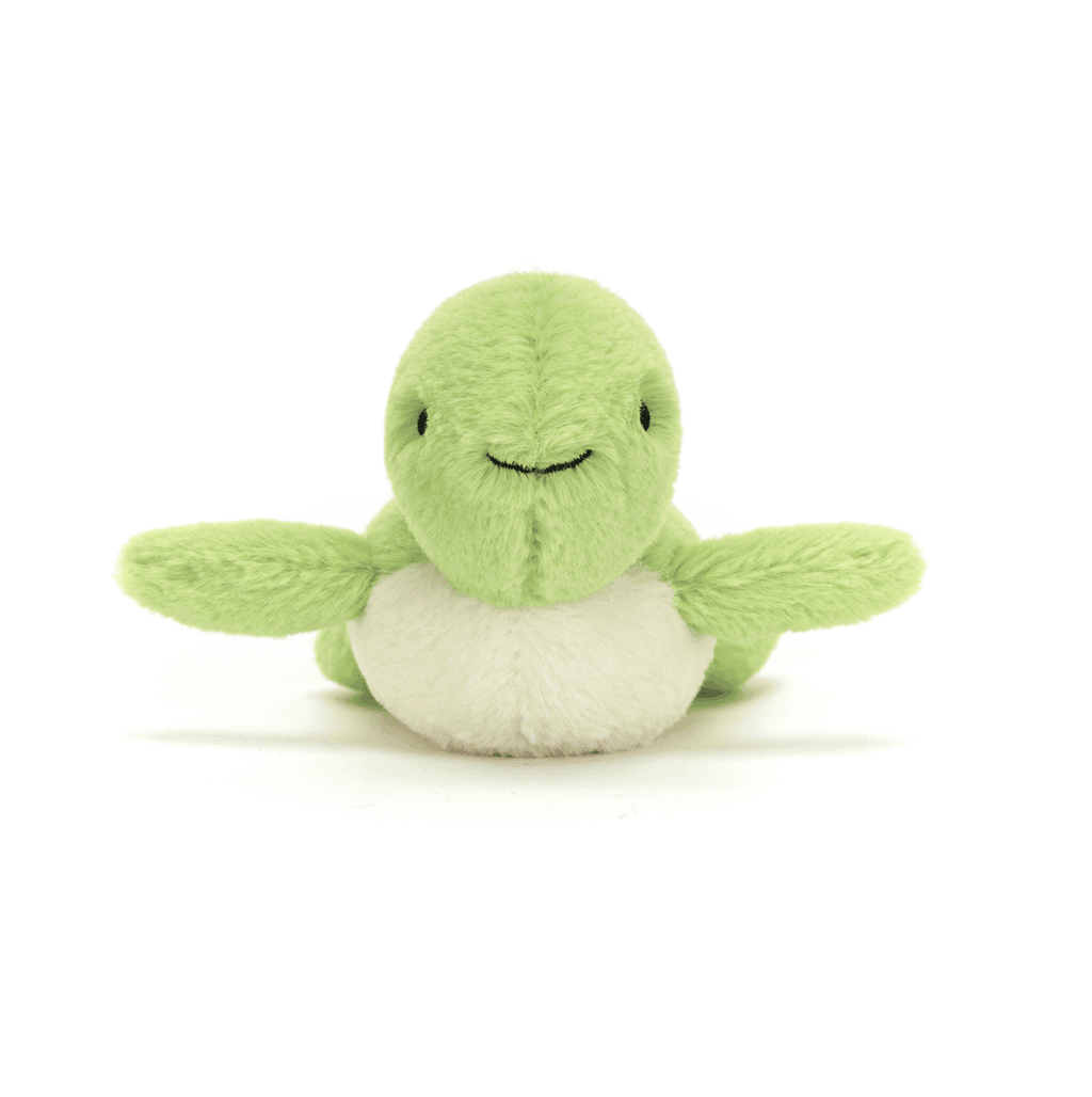 Fluffy Turtle